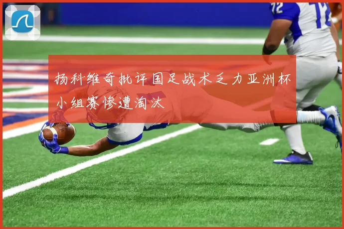 扬科维奇批评国足战术乏力亚洲杯小组赛惨遭淘汰
