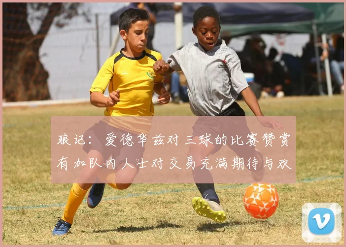 狼记:爱德华兹对三球的比赛赞赏有加队内人士对交易充满期待与欢欣